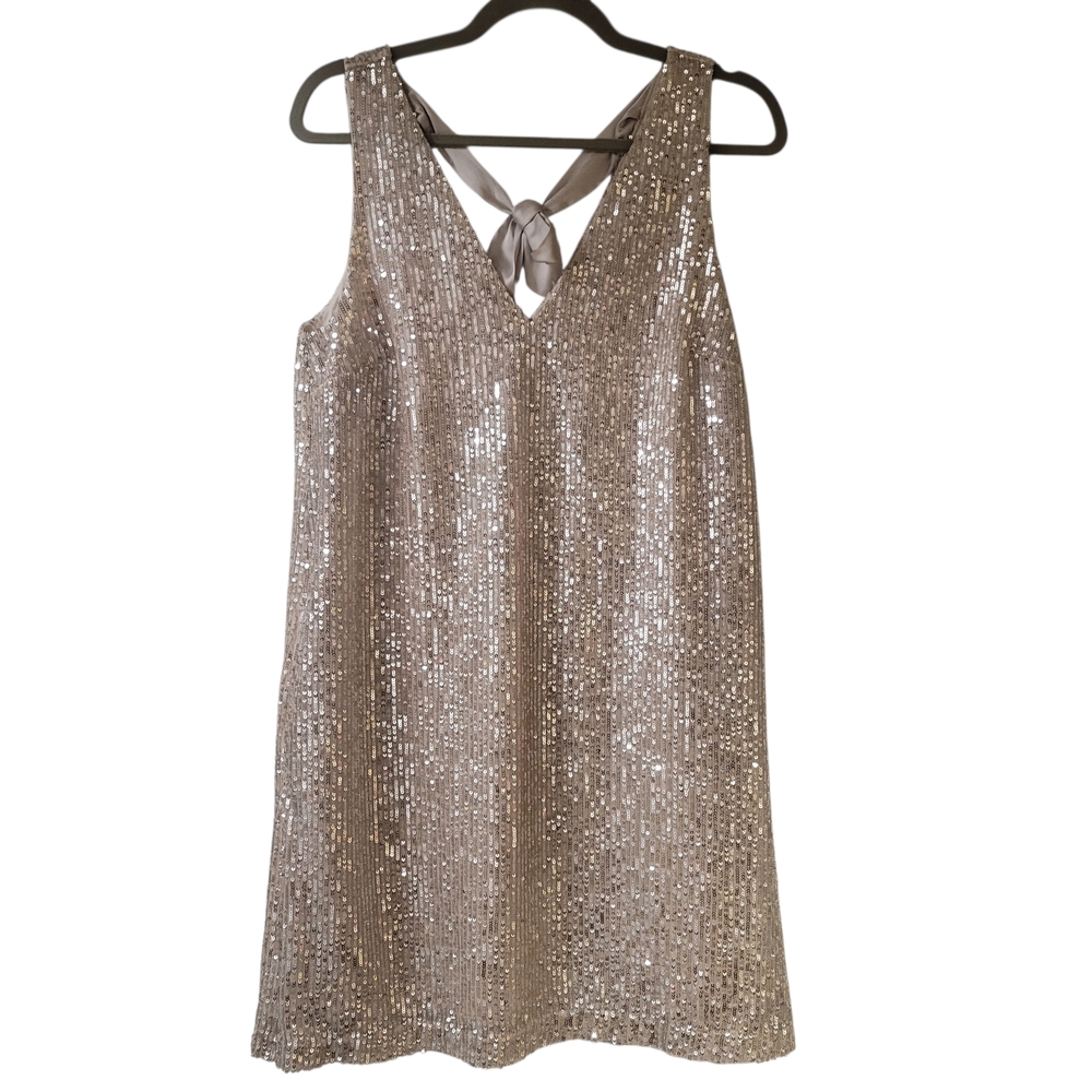 LOFT Champagne V-Neck Party Dress